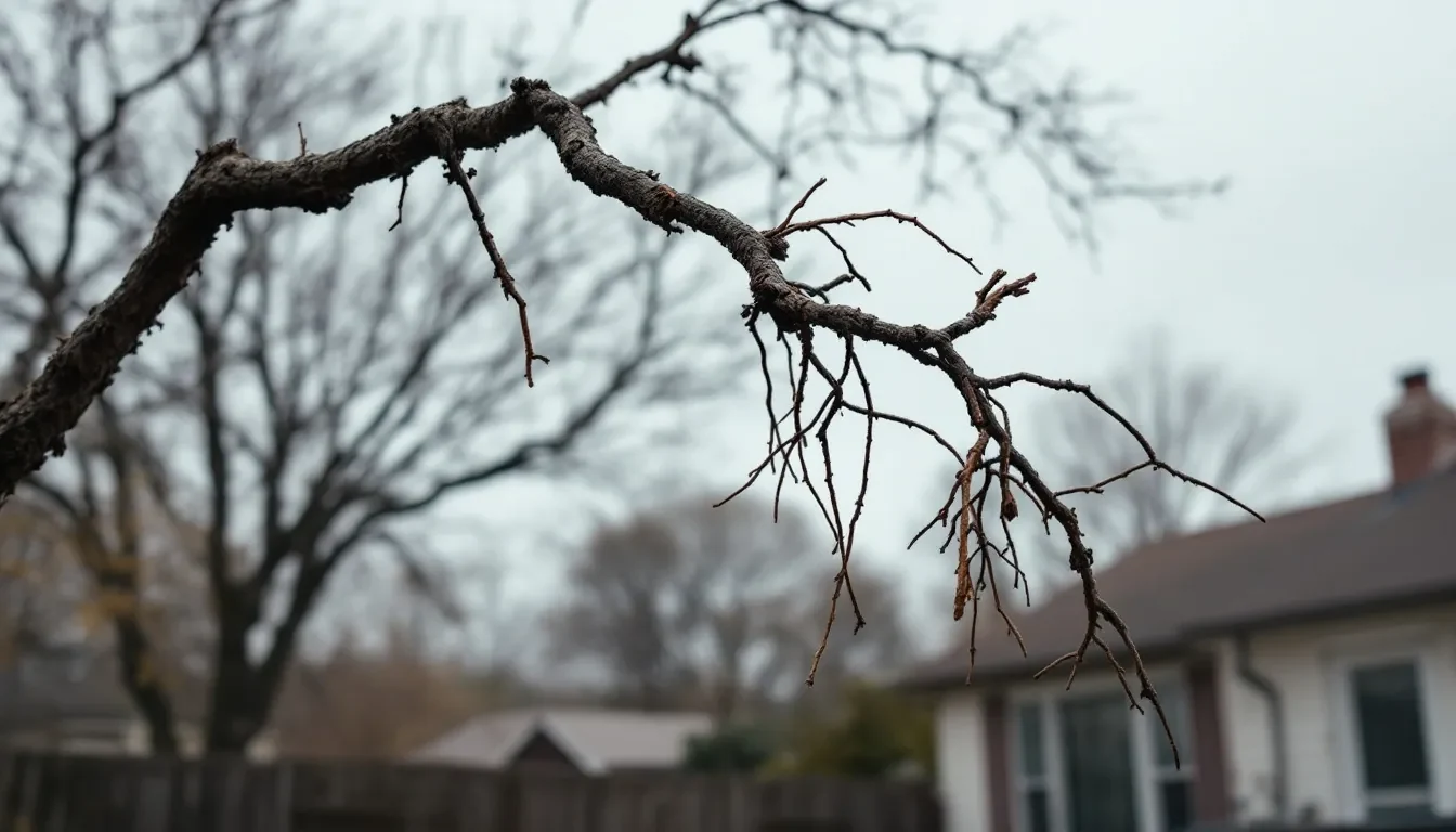 Tree Canopy Lifting in Charleston